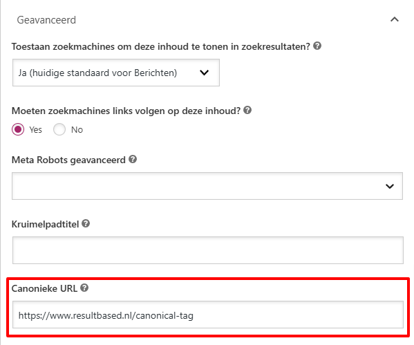 Wat is een canonical tag en waarom is het belangrijk voor je SEO?